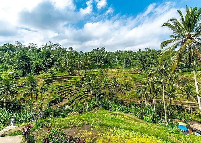 Abian Taksu And 4* Tegallalang (Bali)